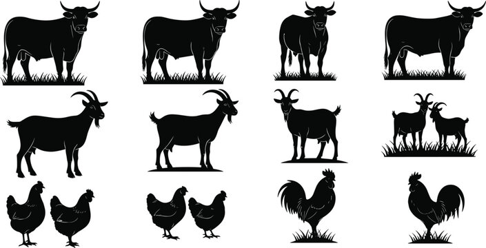 Tatyasaheb Bhujbal Agri Polytechnic & Dairy Institute campus Narayangaon